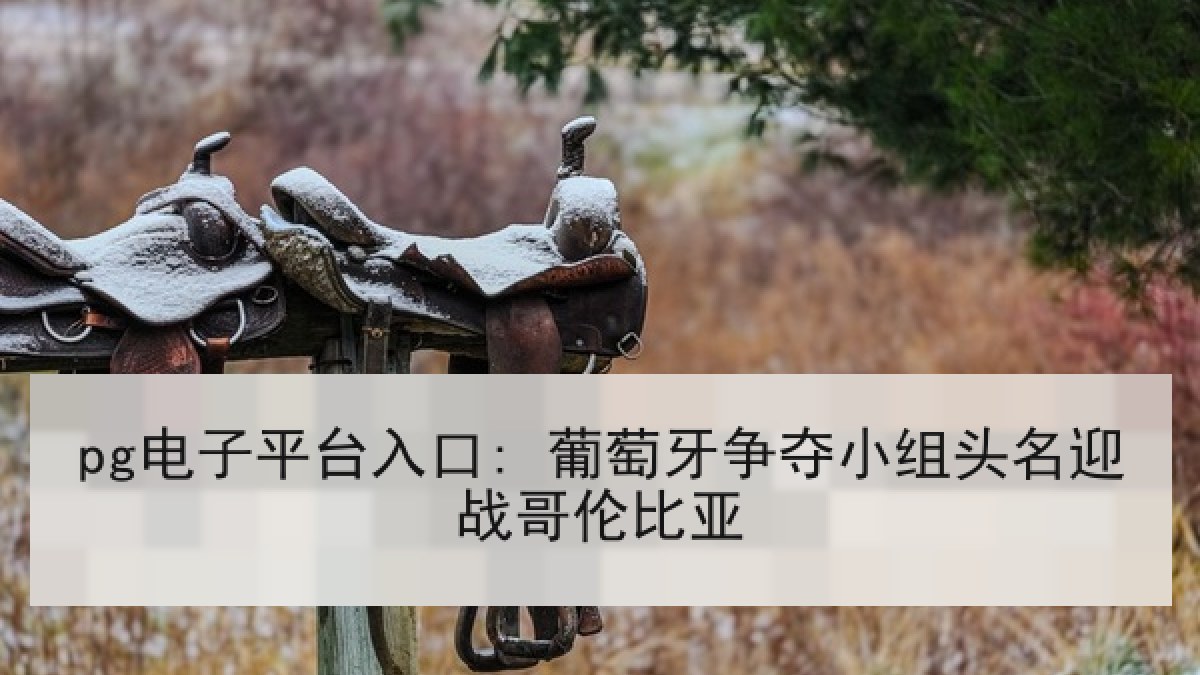 pg电子平台入口: 葡萄牙争夺小组头名迎战哥伦比亚